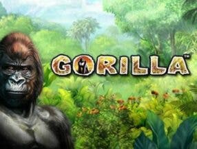 gogo casino login